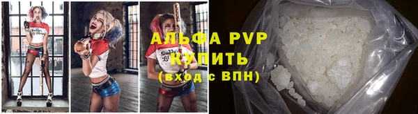 мяу мяу мука Иннополис