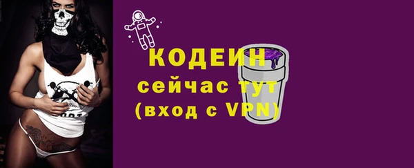 мяу мяу мука Иннополис