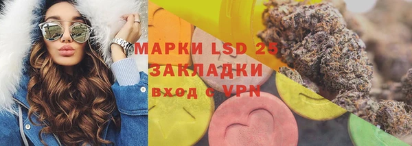 мяу мяу мука Иннополис