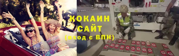 мяу мяу мука Иннополис